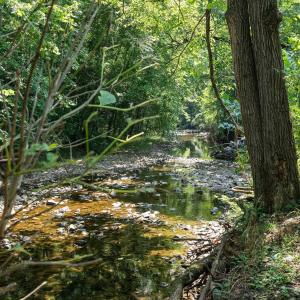 Photo #7 of TBD HANKEY MOUNTAIN HWY, CHURCHVILLE, VA 2.3 acres