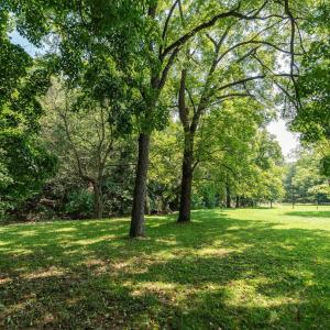 Photo #30 of TBD HANKEY MOUNTAIN HWY, CHURCHVILLE, VA 2.3 acres