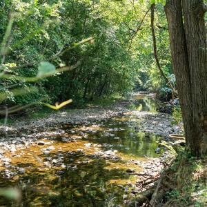 Photo #8 of TBD HANKEY MOUNTAIN HWY, CHURCHVILLE, VA 2.3 acres