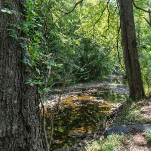 Photo #11 of TBD HANKEY MOUNTAIN HWY, CHURCHVILLE, VA 2.3 acres