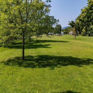 Photo #45 of TBD HANKEY MOUNTAIN HWY, CHURCHVILLE, VA 2.3 acres