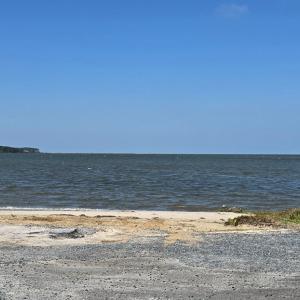 Photo #5 of 1 BLACK MALLARD WAY, ONANCOCK, VA 0.5 acres