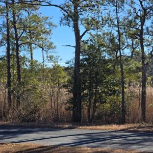 Photo #7 of 1 BLACK MALLARD WAY, ONANCOCK, VA 0.5 acres