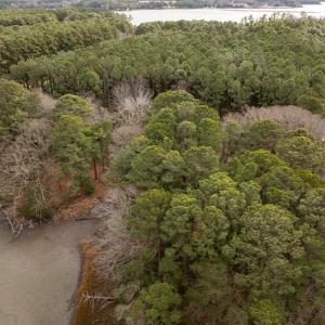 Photo #12 of Lot 23 CHESAWADOX DR, JAMESVILLE, VA 2.7 acres