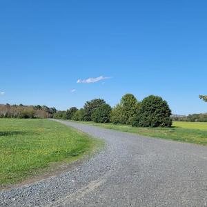Photo #6 of Lot 7 LIBERTY DR, MAPPSVILLE, VA 4.5 acres