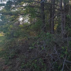 Photo #7 of Lot 7 LIBERTY DR, MAPPSVILLE, VA 4.5 acres
