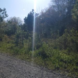 Photo #9 of Lot 7 LIBERTY DR, MAPPSVILLE, VA 4.5 acres