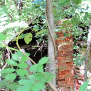 Photo #3 of JAMES RIVER RD, WINGINA, VA 3.3 acres
