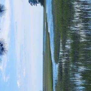 Photo #16 of 7472 SEASIDE RD, CAPE CHARLES, VA 25.1 acres