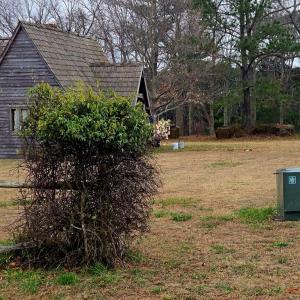 Photo #19 of 7472 SEASIDE RD, CAPE CHARLES, VA 25.1 acres