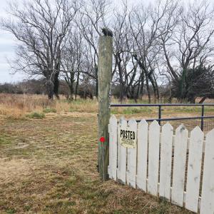 Photo #21 of 7472 SEASIDE RD, CAPE CHARLES, VA 25.1 acres