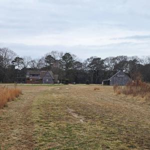 Photo #22 of 7472 SEASIDE RD, CAPE CHARLES, VA 25.1 acres
