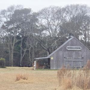 Photo #23 of 7472 SEASIDE RD, CAPE CHARLES, VA 25.1 acres