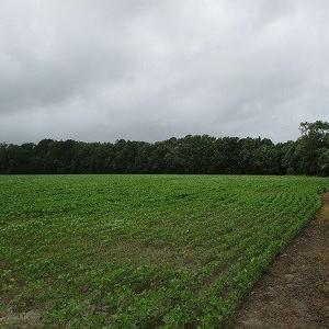 Photo #3 of 2 FLETCHER RD, NELSONIA, VA 10.3 acres