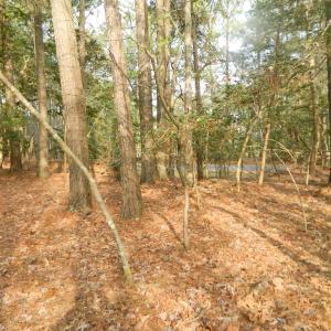 Photo #11 of Lot 182 HERON DR, MACHIPONGO, VA 0.7 acres