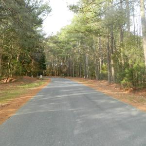 Photo #14 of Lot 182 HERON DR, MACHIPONGO, VA 0.7 acres