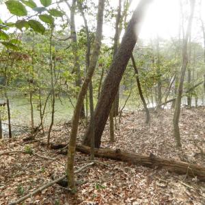 Photo #2 of Lot 182 HERON DR, MACHIPONGO, VA 0.7 acres