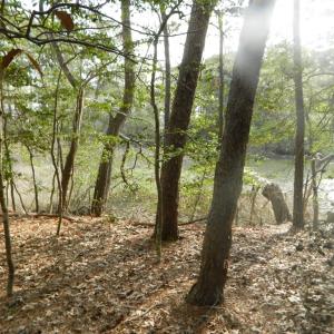 Photo #7 of Lot 182 HERON DR, MACHIPONGO, VA 0.7 acres