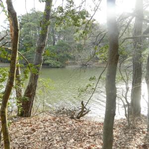 Photo #8 of Lot 182 HERON DR, MACHIPONGO, VA 0.7 acres