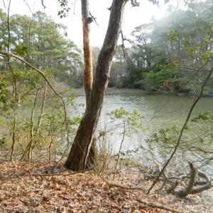 Photo #9 of Lot 182 HERON DR, MACHIPONGO, VA 0.7 acres