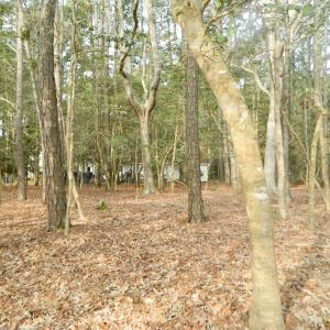 Photo #10 of Lot 182 HERON DR, MACHIPONGO, VA 0.7 acres