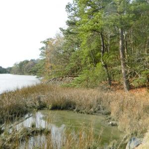 Photo #16 of Lot 182 HERON DR, MACHIPONGO, VA 0.7 acres