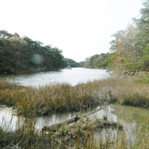 Photo #17 of Lot 182 HERON DR, MACHIPONGO, VA 0.7 acres