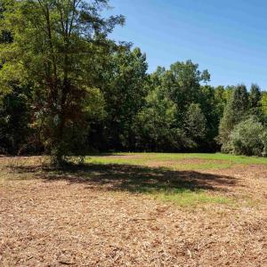 Photo #9 of 2062 EAST SIDE HWY, CRIMORA, VA 7.8 acres