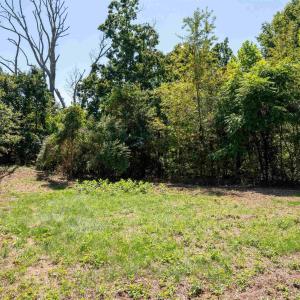 Photo #10 of 2062 EAST SIDE HWY, CRIMORA, VA 7.8 acres