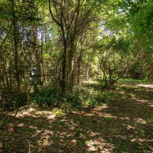 Photo #14 of 2062 EAST SIDE HWY, CRIMORA, VA 7.8 acres