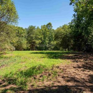 Photo #8 of 2062 EAST SIDE HWY, CRIMORA, VA 7.8 acres