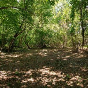 Photo #13 of 2062 EAST SIDE HWY, CRIMORA, VA 7.8 acres