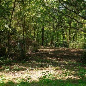 Photo #12 of 2062 EAST SIDE HWY, CRIMORA, VA 7.8 acres