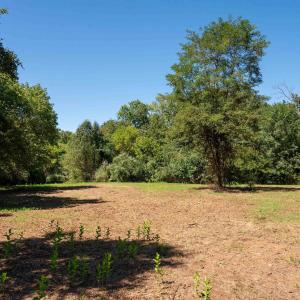 Photo #11 of 2062 EAST SIDE HWY, CRIMORA, VA 7.8 acres