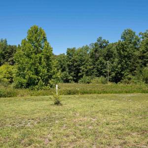 Photo #5 of TBD EAST SIDE HWY, CRIMORA, VA 78.0 acres