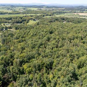 Photo #8 of TBD EAST SIDE HWY, CRIMORA, VA 78.0 acres
