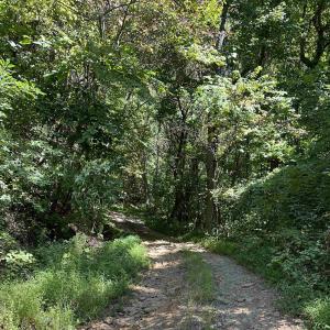 Photo #2 of 6 OLD MOUNTAIN RD, STANARDSVILLE, VA 5.5 acres