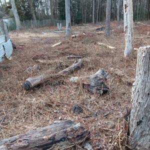 Photo #3 of Lot SHERWOOD DR, BLOXOM, VA 1.0 acres