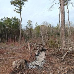 Photo #5 of Lot SHERWOOD DR, BLOXOM, VA 1.0 acres
