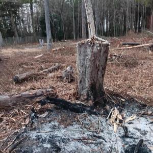 Photo #6 of Lot SHERWOOD DR, BLOXOM, VA 1.0 acres