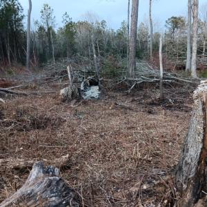 Photo #7 of Lot SHERWOOD DR, BLOXOM, VA 1.0 acres