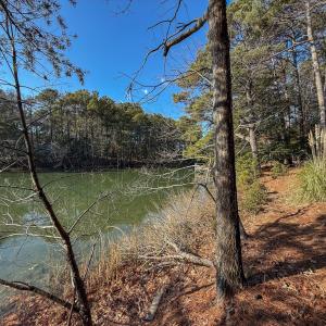 Photo #13 of 208/209 BLUE FISH LN, MACHIPONGO, VA 1.4 acres