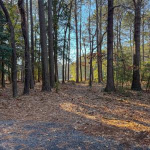 View from Blue Fish Lane