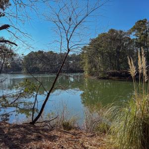 Photo #2 of 208/209 BLUE FISH LN, MACHIPONGO, VA 1.4 acres