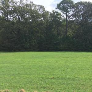 Photo #4 of BRIDGETON DRIVE, CAPE CHARLES, VA 0.3 acres