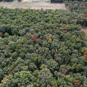 Photo #18 of TBD RICHLAND LN, GROTTOES, VA 5.0 acres