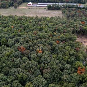 Photo #2 of TBD RICHLAND LN, GROTTOES, VA 5.0 acres
