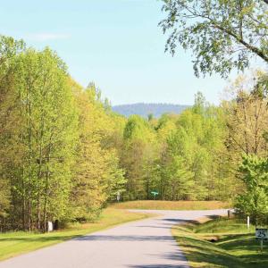 Photo #10 of Lot 3 PR DAVENTRY LN, CHARLOTTESVILLE, VA 2.4 acres