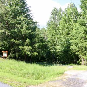 Photo #6 of Lot 3 PR DAVENTRY LN, CHARLOTTESVILLE, VA 2.4 acres