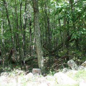 Photo #1 of TBD HIGH VALLEY SOUTH, MONTEREY, VA 5.0 acres